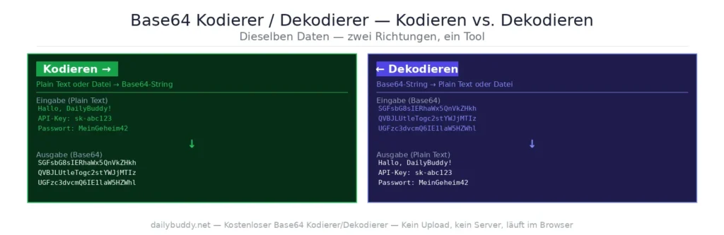 free Base64 encoder decoder — encode and decode example by DailyBuddy